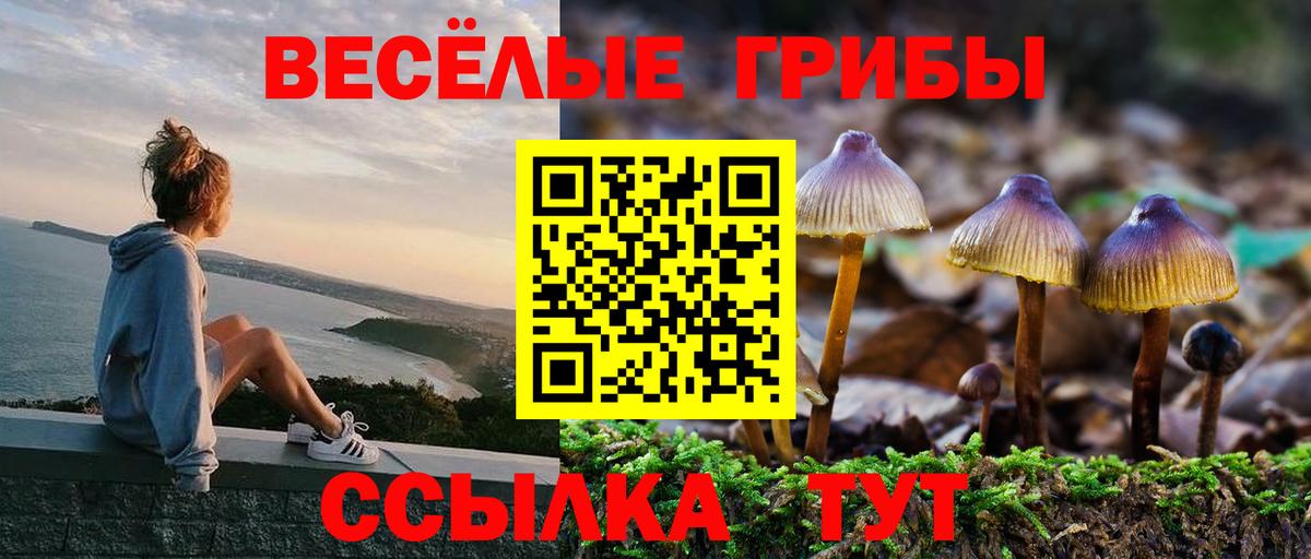 Псилоцибиновые грибы прущие грибы Воркута